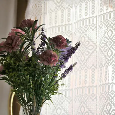 Apartment Ii Forni